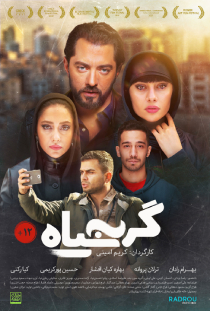 گربه سیاه